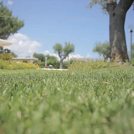 Curri Appartement Locorotondo