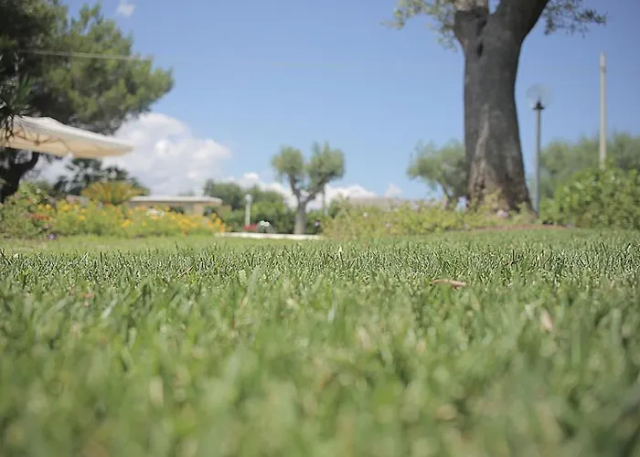 Curri Apartmán Locorotondo